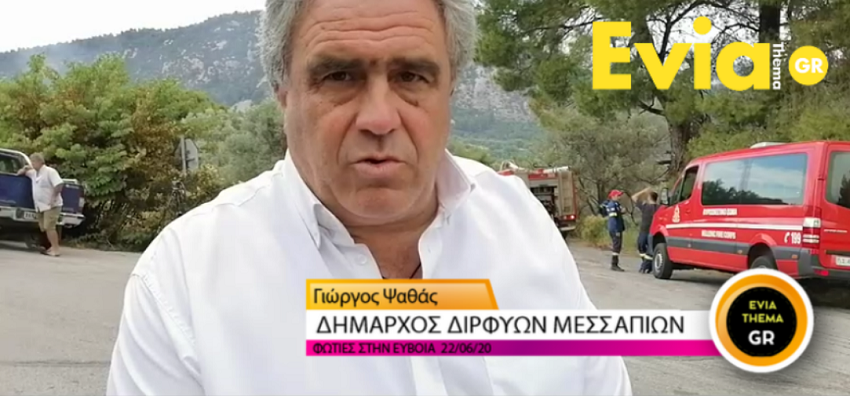 Γιώργος Ψαθάς στο eviathema.gr: Η ζημιά που θα μπορούσε να προκληθεί από τις φωτιές