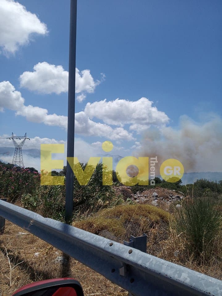 Μεγάλη πυρκαγιά στους Ραπταίους του Δήμου Καρύστου