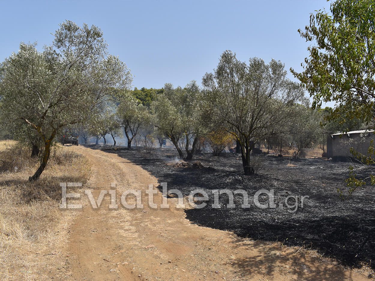 Εύβοια: Φωτιά στην Τριάδα του Δήμου Διρφύων Μεσσαπίων