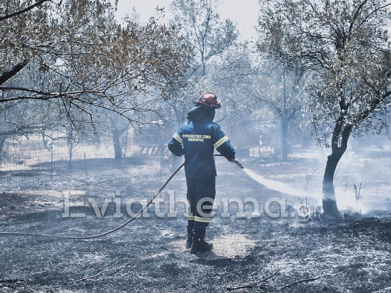 Εύβοια: Φωτιά στην Τριάδα του Δήμου Διρφύων Μεσσαπίων