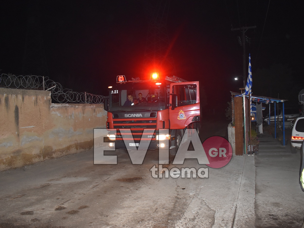 Εύβοια: Φωτιά δίπλα στον υποσταθμό της ΔΕΗ στα Ψαχνά