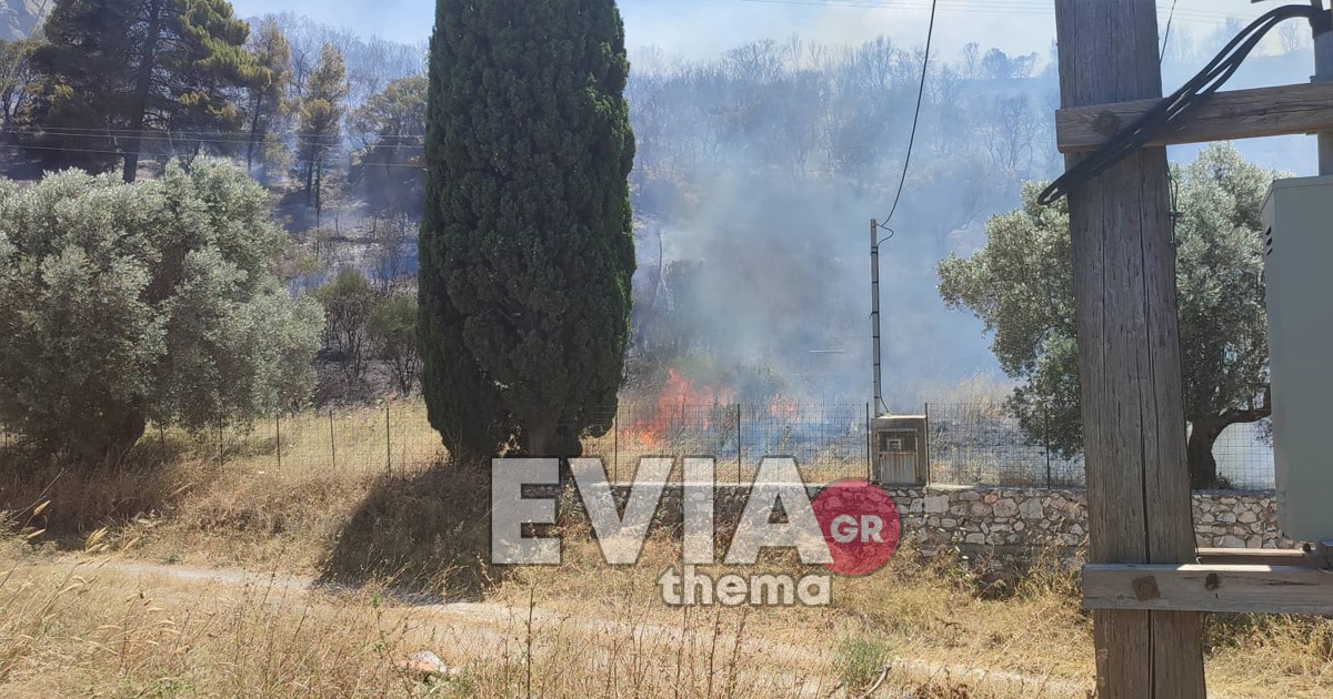 ΕΚΤΑΚΤΟ - Εύβοια: Φωτιά στο Αλιβέρι