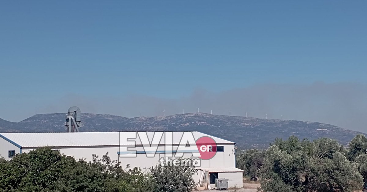Μαίνεται η φωτιά στην Εύβοια - Έχει φτάσει στην είσοδο του χωριού - Ισχυρή δύναμη της πυροσβεστικής στο σημείο